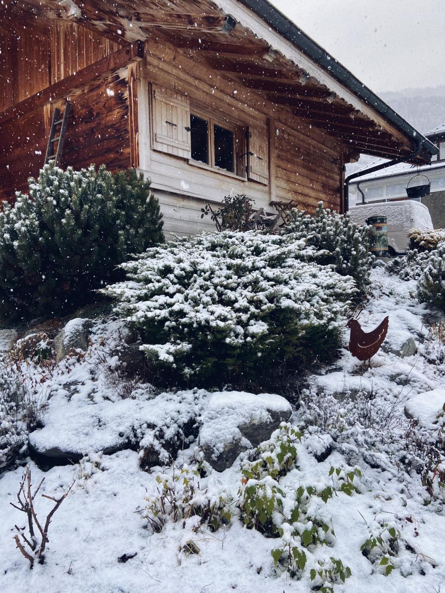 Grand Chalet A La Montagne Bourg-Saint-Maurice Luaran gambar